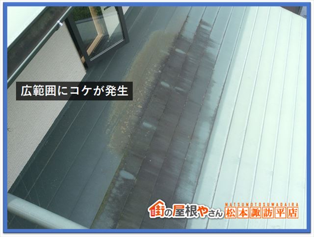 茅野市屋根外壁現調　北面コケ